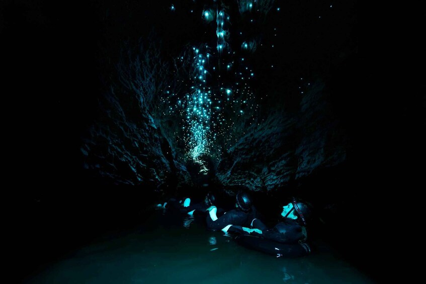 Picture 11 for Activity The Waitomo Experience : Okahua Glowworm Cave Tour