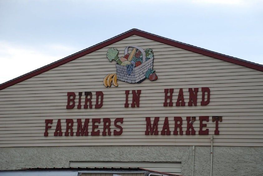 Amish Farm and House 1-Day Tour From Washington D.C.