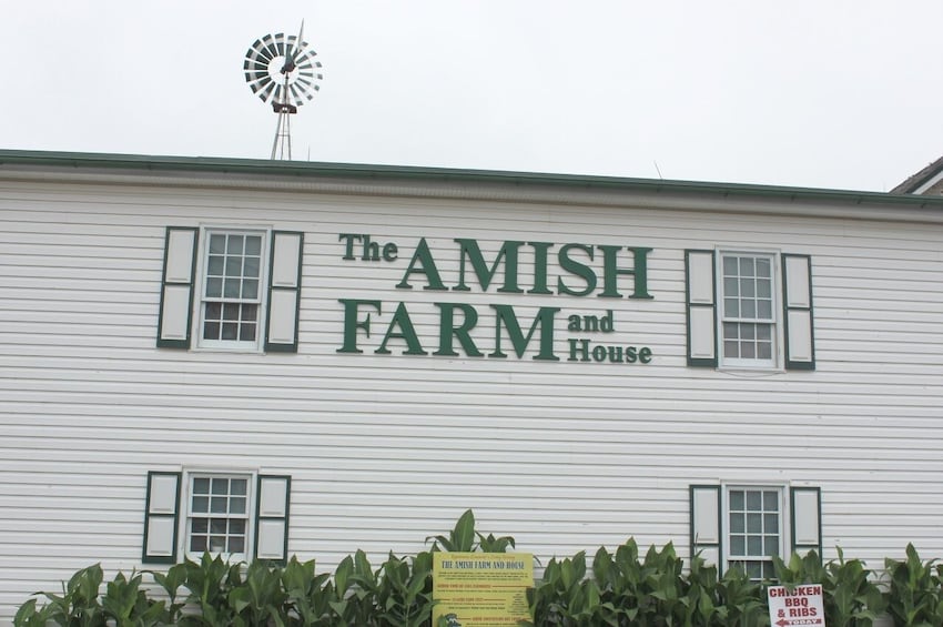Amish Farm and House 1-Day Tour From Washington D.C.