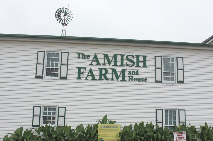 Amish Farm and House 1-Day Tour From Washington D.C.