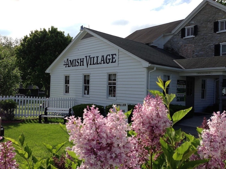 Amish Farm and House 1-Day Tour From Washington D.C.
