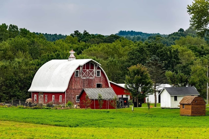 Amish Farm and House 1-Day Tour From Washington D.C.