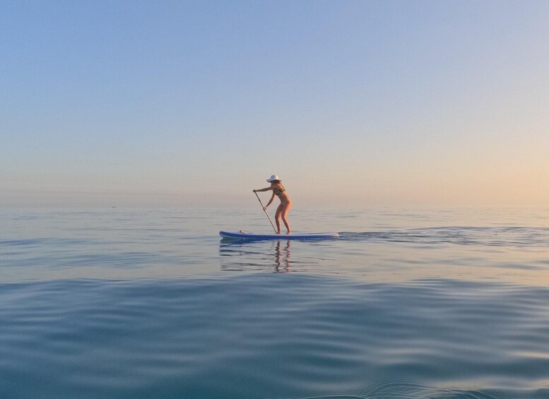 Picture 1 for Activity WWF TOUR alla Riserva Naturale di Torre Salsa in SUP