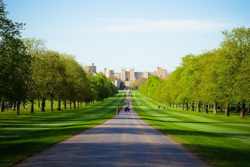Royal Windsor Afternoon Tea Bus Tour