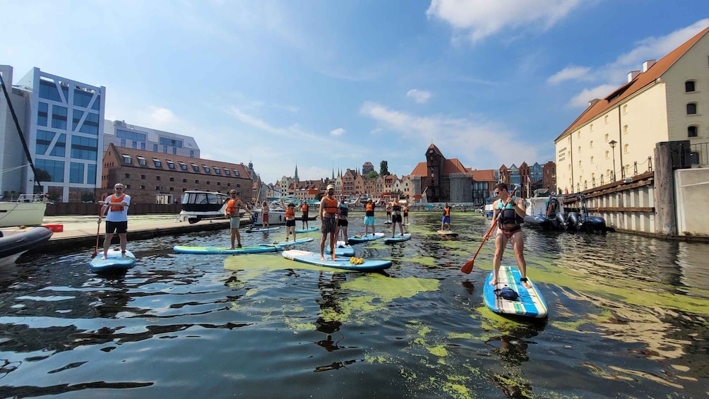 Picture 7 for Activity Gdansk: Stand-Up Paddleboarding Tour