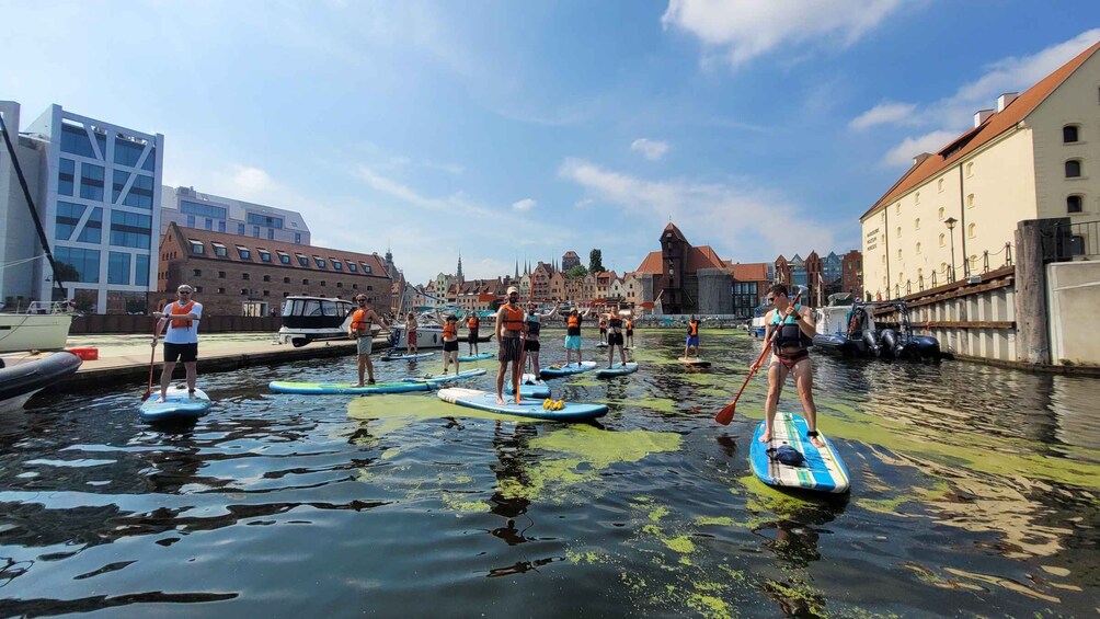 Picture 7 for Activity Gdansk: Stand-Up Paddleboarding Tour