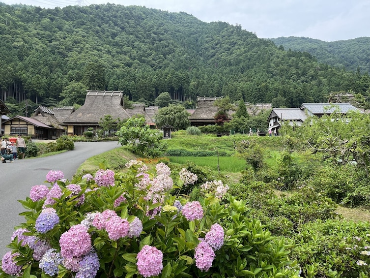 From Osaka/Kyoto: Amanohashidate 1-Day Bus Tour with Meal
