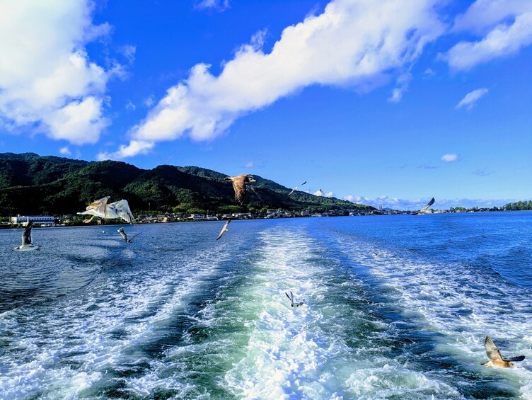 From Osaka/Kyoto: Amanohashidate 1-Day Bus Tour with Meal