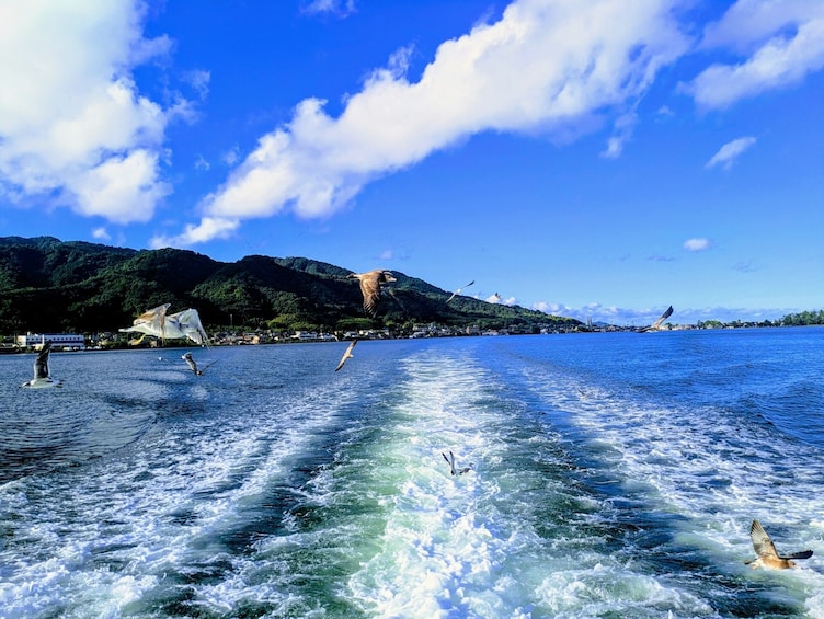 From Osaka/Kyoto: Amanohashidate 1-Day Bus Tour with Meal
