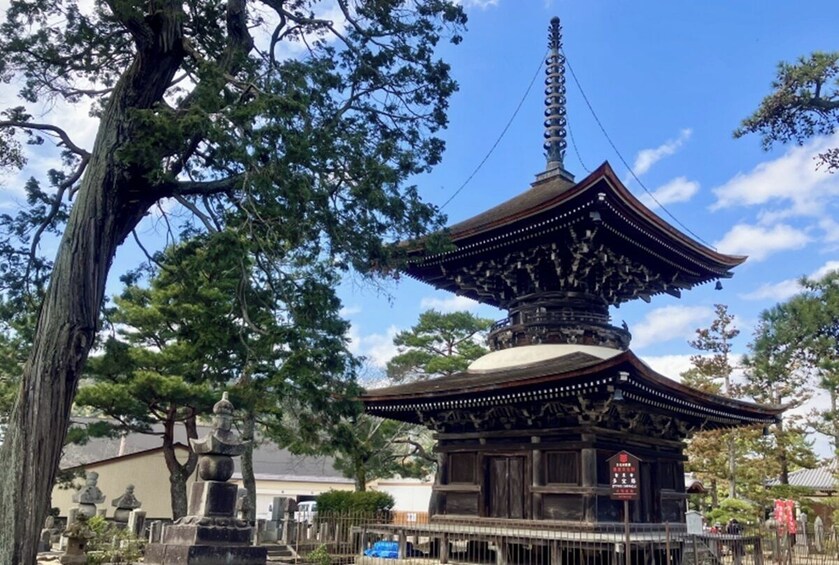 From Osaka/Kyoto: Amanohashidate 1-Day Bus Tour with Meal