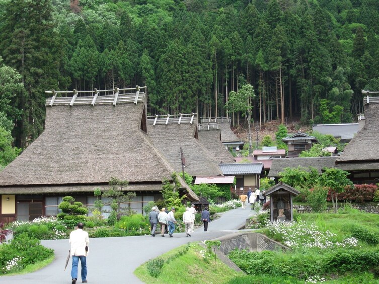 From Osaka/Kyoto: Amanohashidate 1-Day Bus Tour with Meal