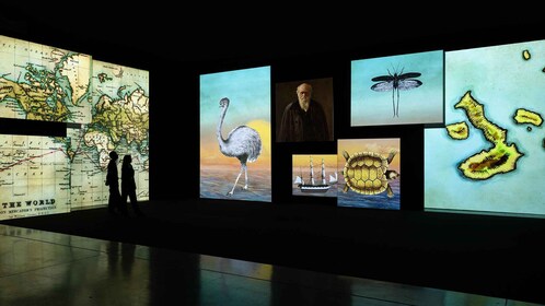 National Portrait Gallery Unframed: Stories Brought to Life