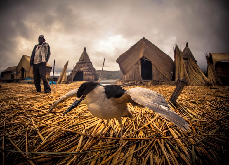 Kayaking by The Uros Island