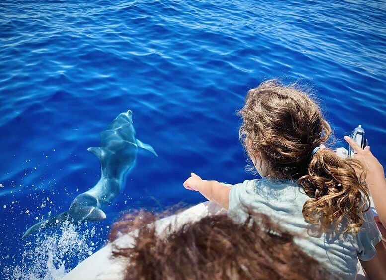 Picture 6 for Activity Portofino: Boat Tours in the Marine Protected Area