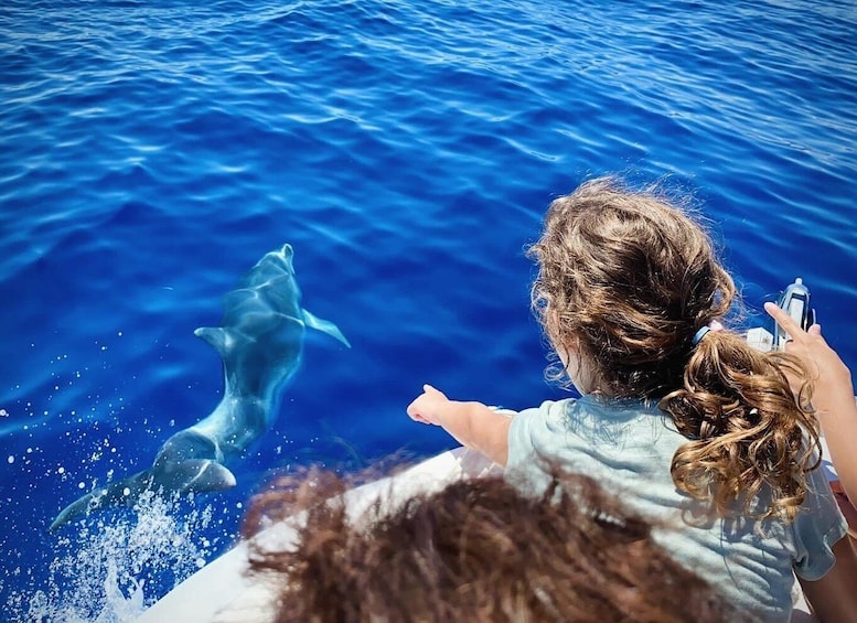 Picture 6 for Activity Portofino: Boat Tours in the Marine Protected Area