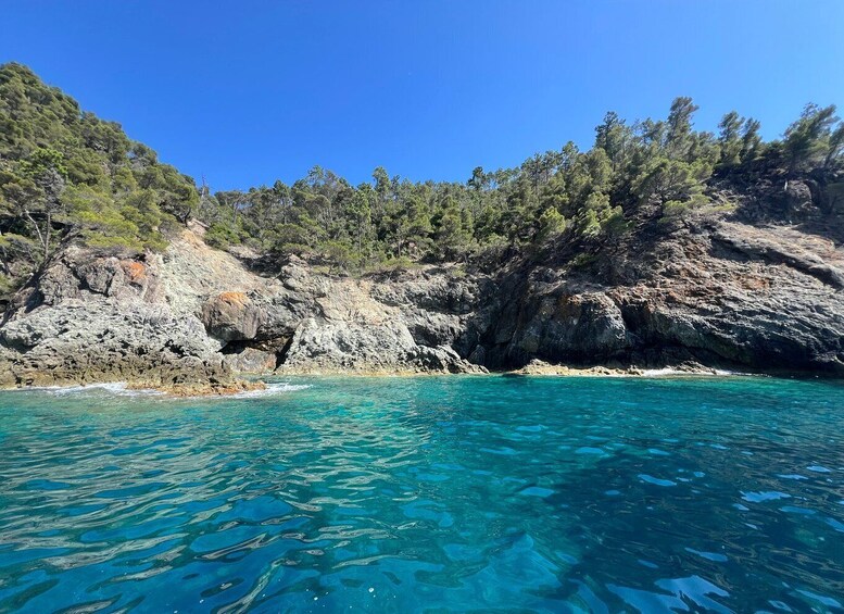 Picture 4 for Activity Portofino: Boat Tours in the Marine Protected Area