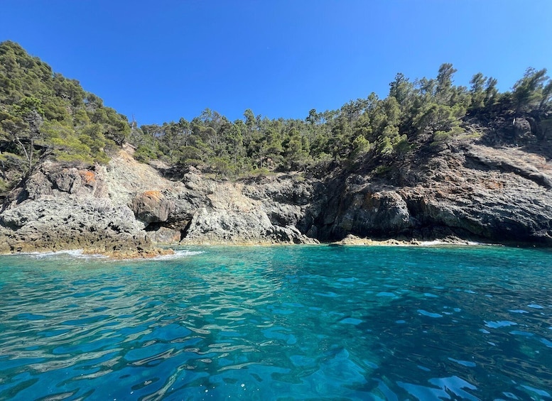 Picture 4 for Activity Portofino: Boat Tours in the Marine Protected Area