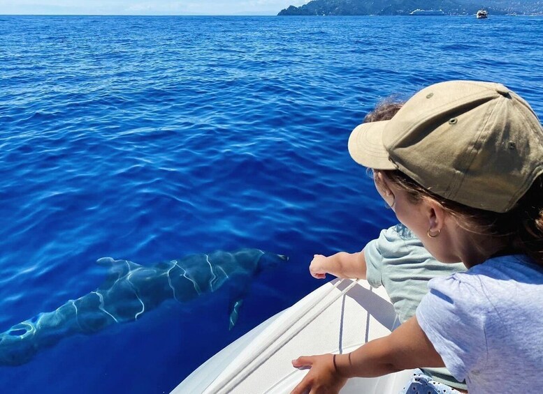 Picture 7 for Activity Portofino: Boat Tours in the Marine Protected Area