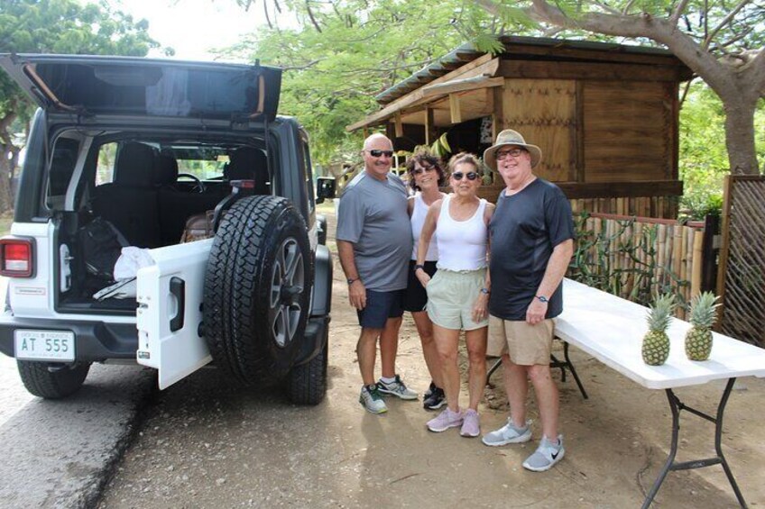 SoCoHo Luxe Private Jeep Wrangler Tour