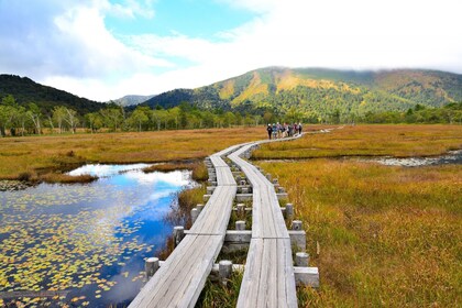Tokyo: Oze National Park Self-Guided Hike with Overnight Bus
