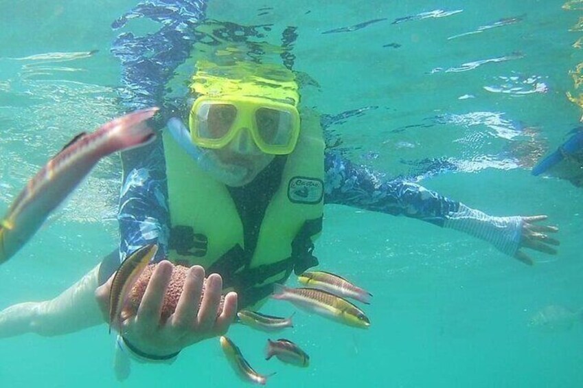 Snorkeling Tour in Ixtapa Island