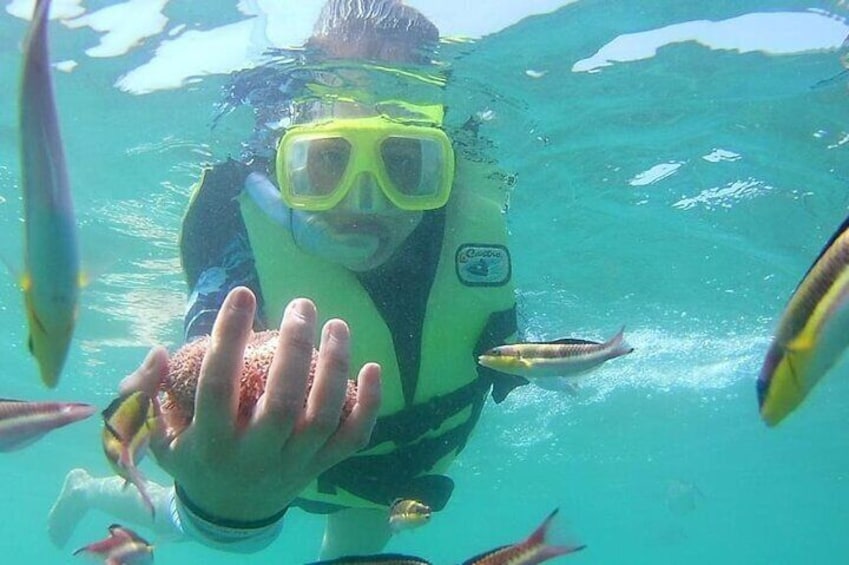 Snorkeling Tour in Ixtapa Island