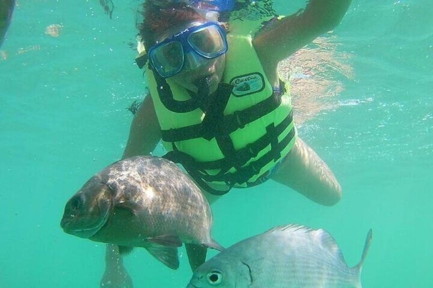 Snorkeling Tour in Ixtapa Island