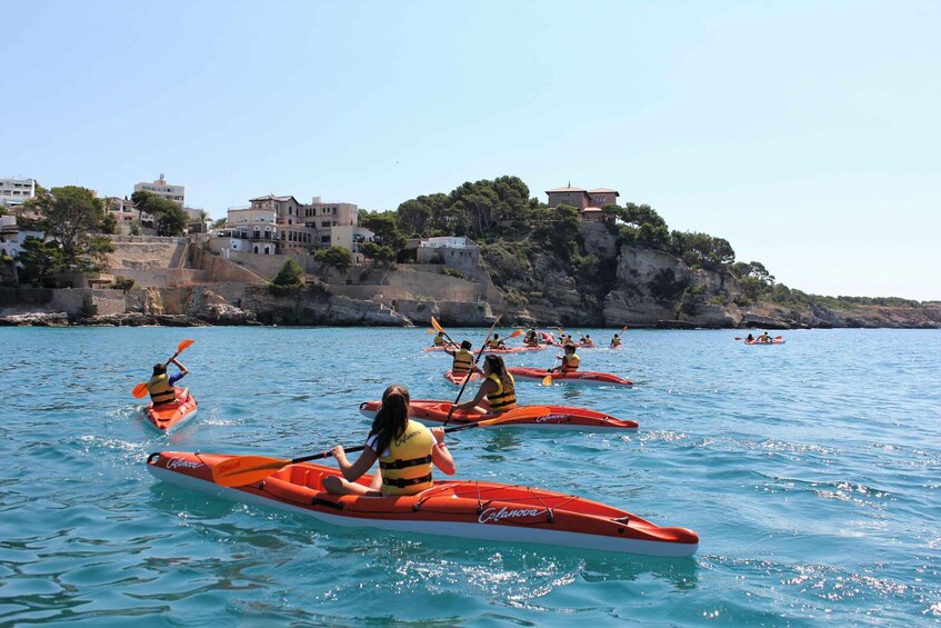 Picture 3 for Activity Kayak Excursion