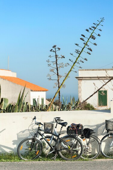 Picture 2 for Activity Formentera: discover our fast ferry + bike package