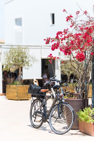 Picture 3 for Activity Formentera: discover our fast ferry + bike package