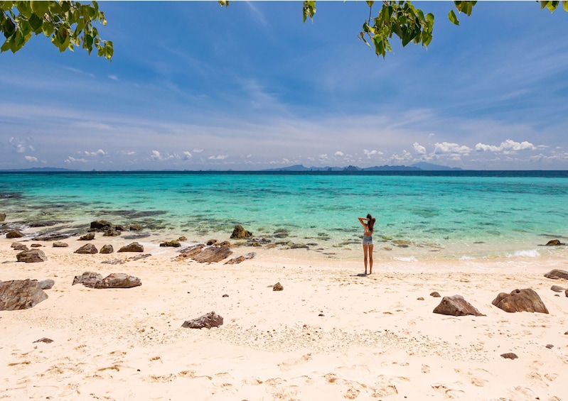 Turquoise Tides of Phi Phi & Bamboo Islands by Power Catamaran from Phuket