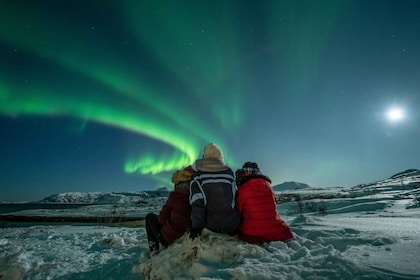 Tromsø: Northern Lights Guided Bus Tour