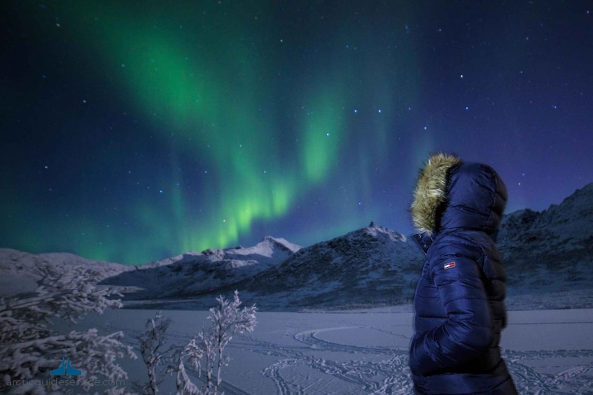 From Tromsø: Northern Lights Guided Bus Tour