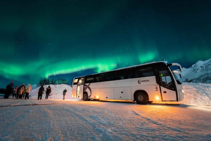 Picture 6 for Activity From Tromsø: Northern Lights Guided Bus Tour