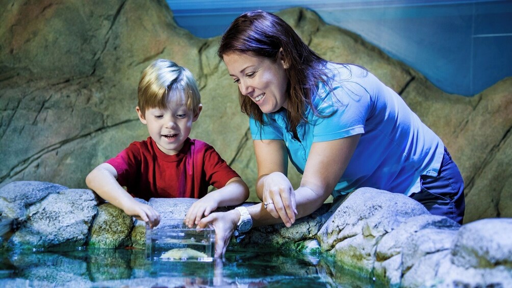 SEA LIFE Scheveningen Admission Ticket