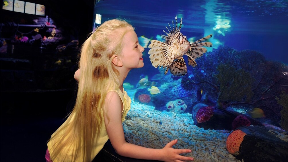 SEA LIFE Scheveningen Admission Ticket