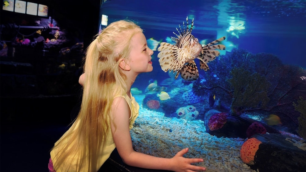 SEA LIFE Scheveningen Admission Ticket