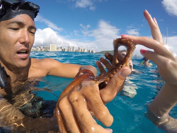 Mauna Kea Snorkel Adventure