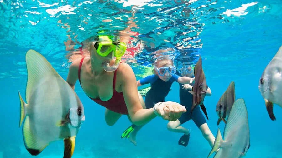 Mauna Kea Snorkel Adventure