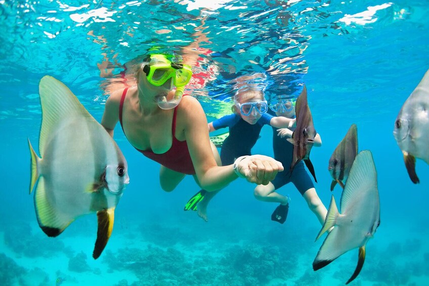 Mauna Kea Snorkel Adventure