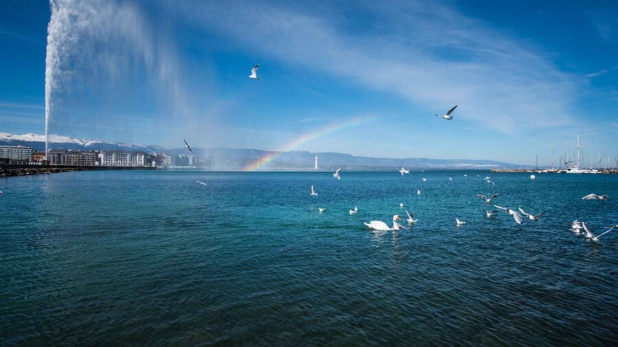 Geneva: Scenic Lake Cruise with Snacks and Wine