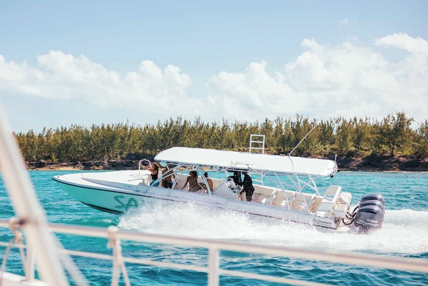 Exuma Full Day Swimming Pigs Powerboat Adventure