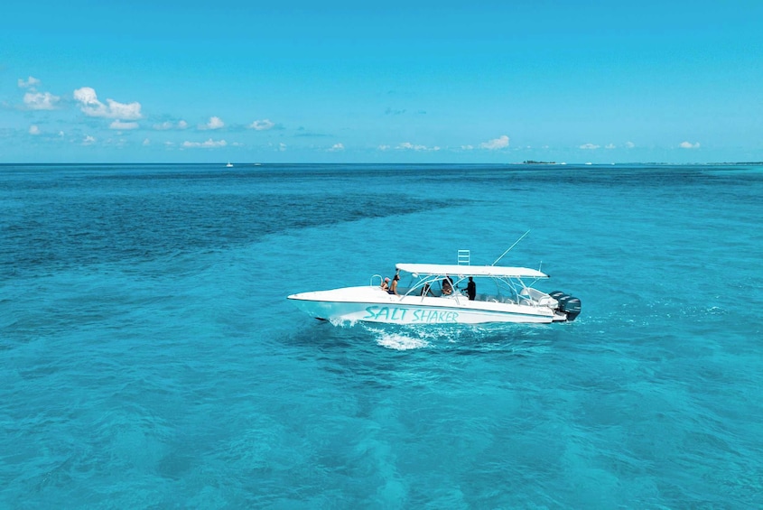 Exuma Full Day Swimming Pigs Powerboat Adventure