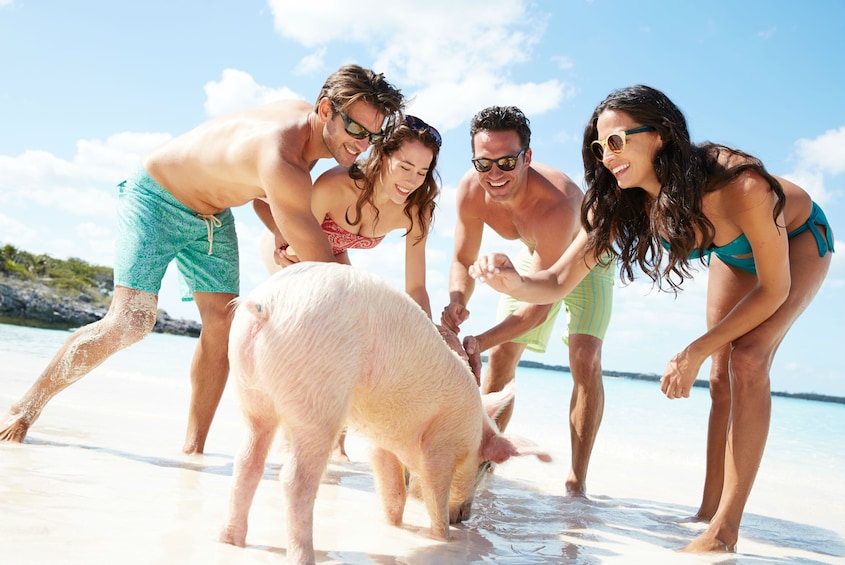 Exuma Full Day Swimming Pigs Powerboat Adventure