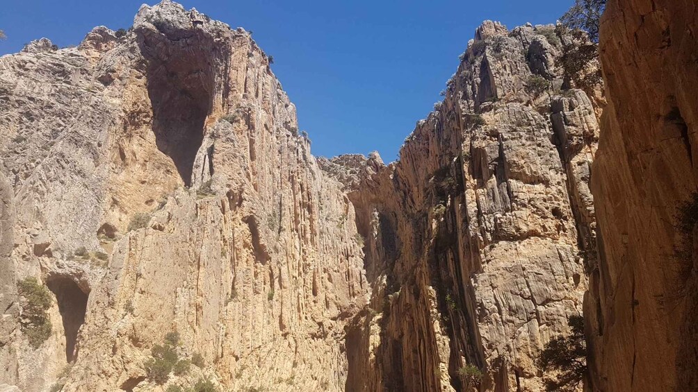 Picture 11 for Activity Ardales: Caminito del Rey Private Guided Tour