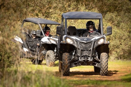 cross country