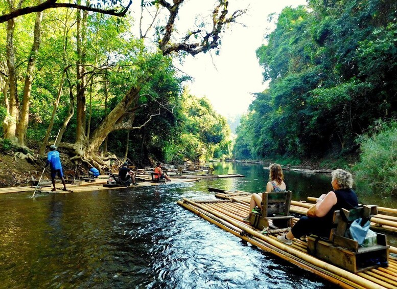 Picture 14 for Activity Khao Sok Jungle Day Trip - Jungle Trekking & Bamboo Rafting