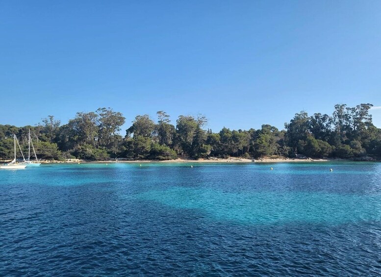 Picture 33 for Activity Cannes Boat Trip on a Sailing Yacht Îles de Lérins&Aperitif