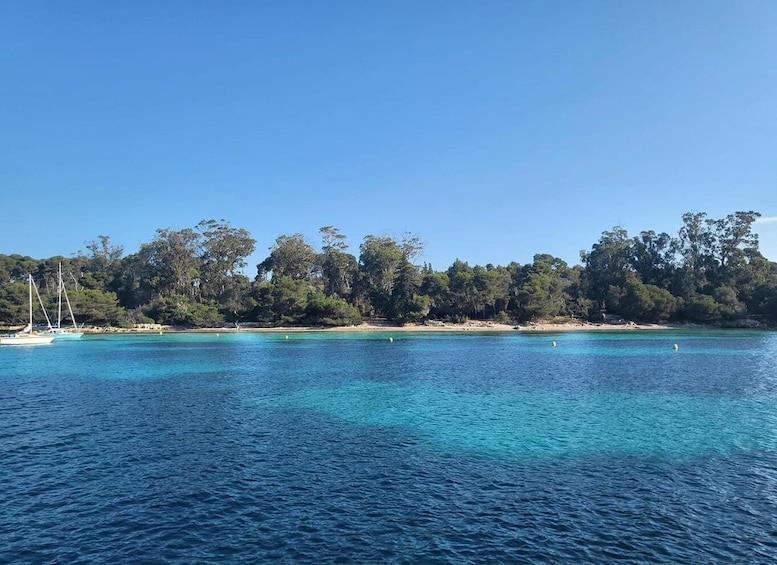 Picture 33 for Activity Cannes Boat Trip on a Sailing Yacht Îles de Lérins&Aperitif