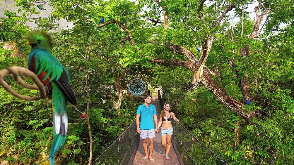 Xcaret Park Day Tour & Night Show with Transportation